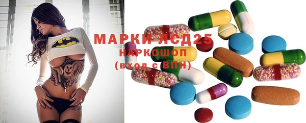 спиды Верея