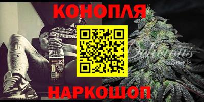 прущие грибы Бийск