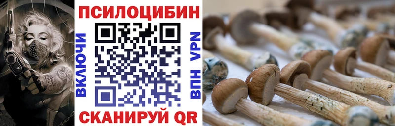 Галлюциногенные грибы Magic Shrooms закладки Вятские Поляны