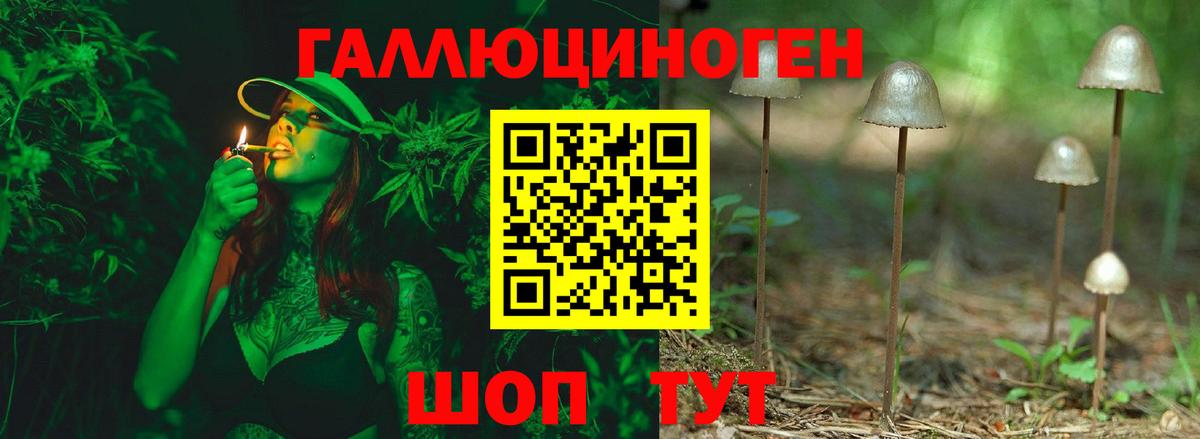 Псилоцибиновые грибы Psilocybe  где продают   Вятские Поляны 